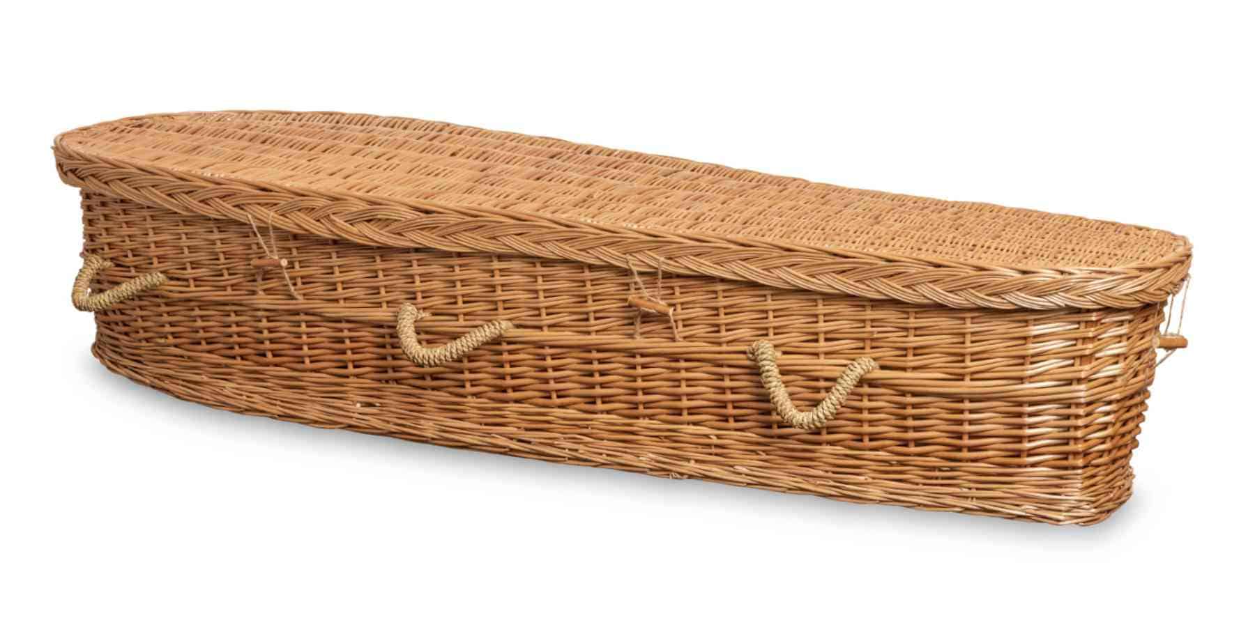 Casket Willow