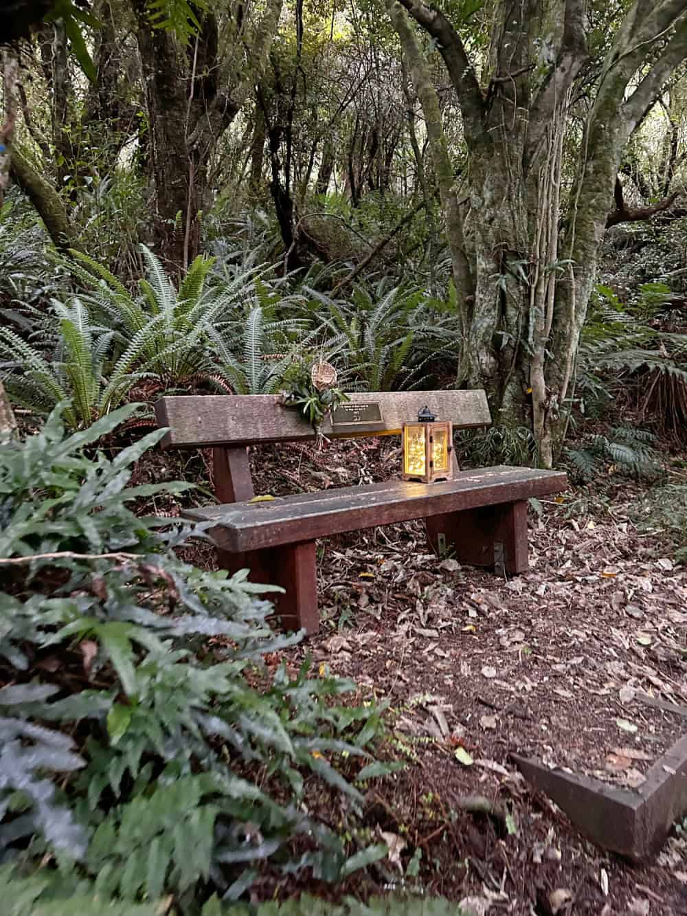 Orokonui Seat Portrait