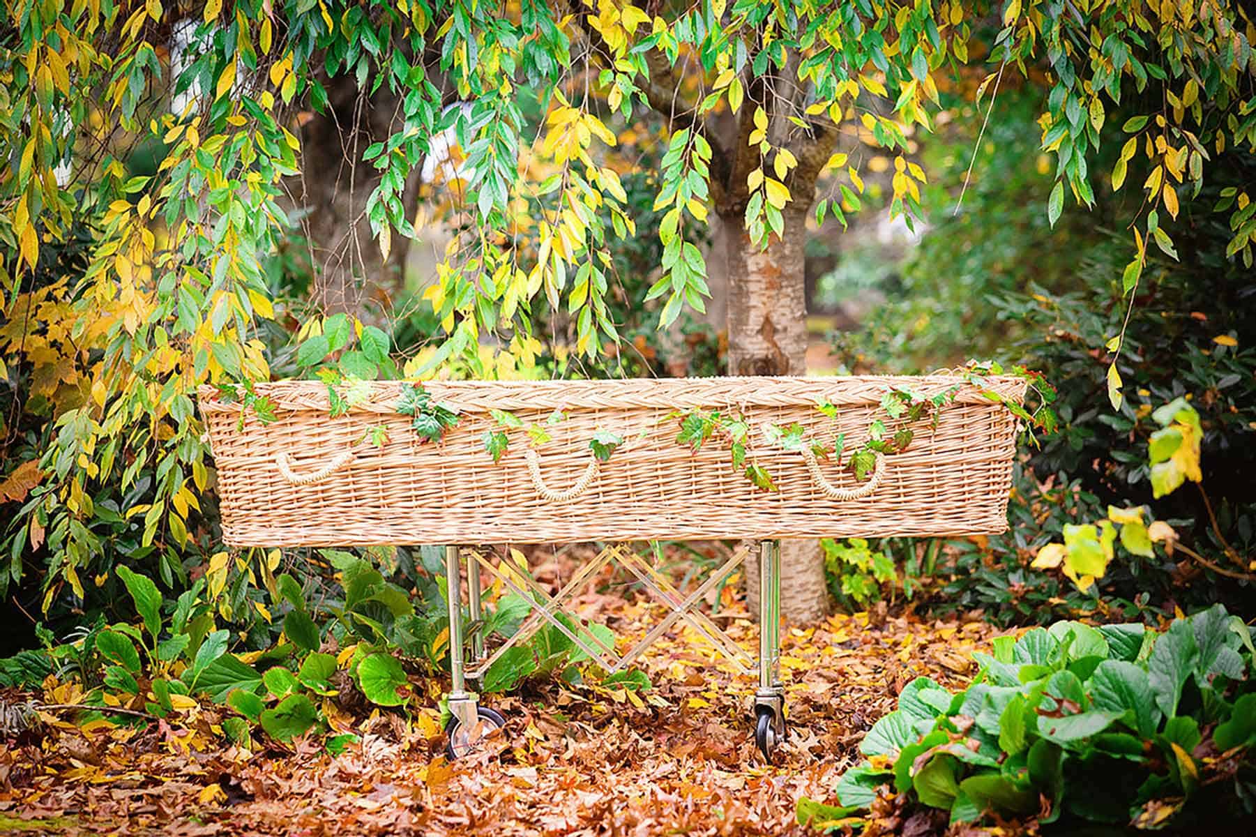 Willow Casket Header